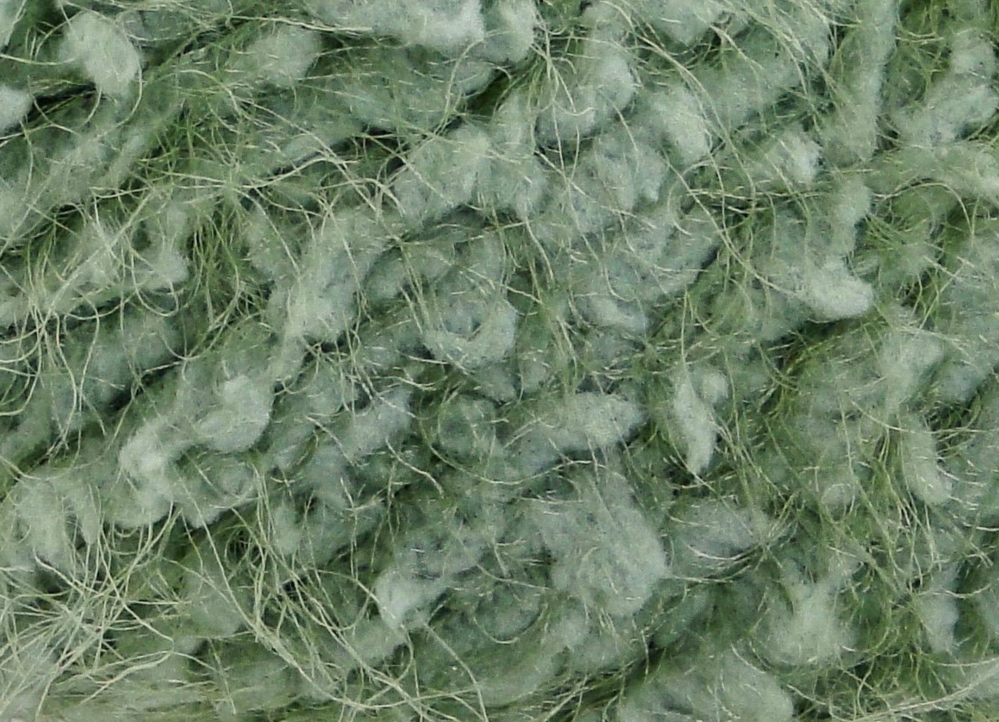 AQUA farve 4, Avocado